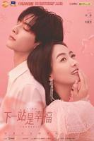 下一站是幸福电视剧全集免费观看